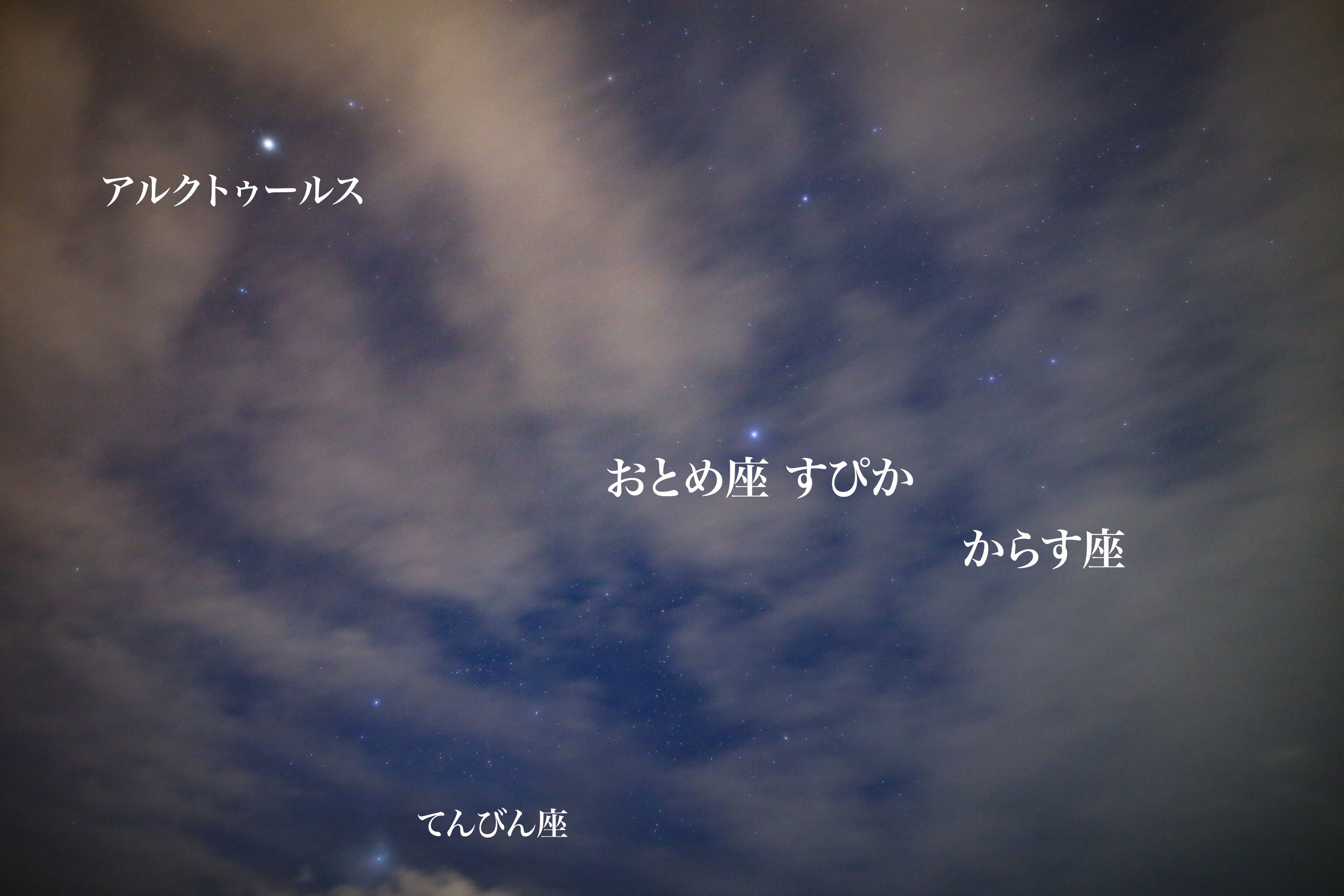 2019年しぶんぎ座流星群観測 in 沖縄❗結果は…